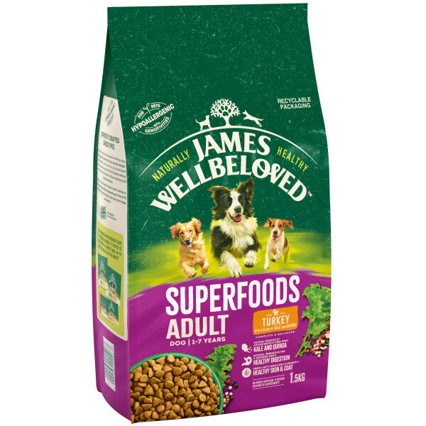 James Wellbeloved Superfoods Adult Turkey with Kale & Quinoa 1.5kg