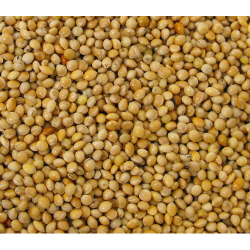 Versele Laga Yellow Millet Seeds For Caged Birds 25kg