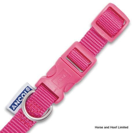 Ancol Raspberry Adjustable Nylon Dog Collar