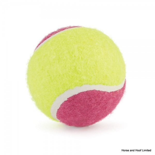 Ancol Tennis Ball x 20