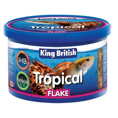 King British Tropical Flake with IHB 24 x 12g