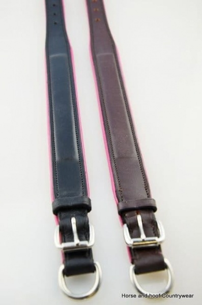 Companion Leather Dog Collar with Coloured Padding