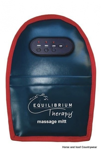 Equilibruim Therapy Massage Mitt