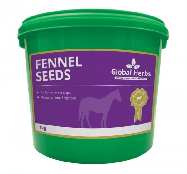 Global Herbs Fennel Seeds-1kg Tub
