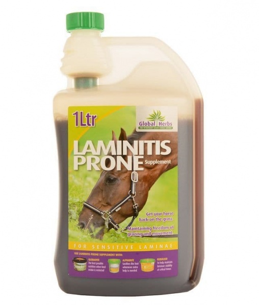 Global Herbs Laminitis Prone Liquid - 1 Litre
