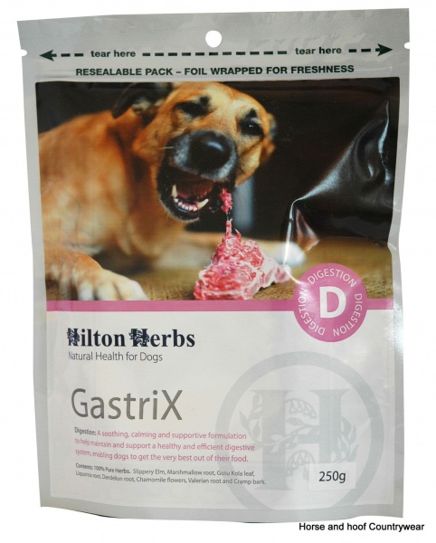 Hilton Herbs Canine Gastri X
