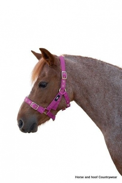 Hy Leather Foal Head Collar