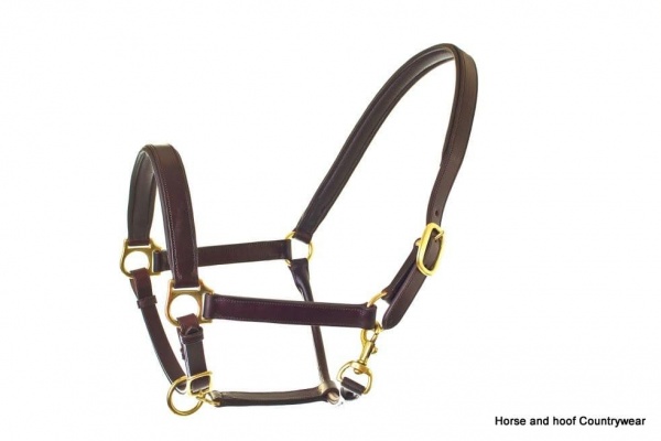 HyCLASS Leather Padded Head Collar