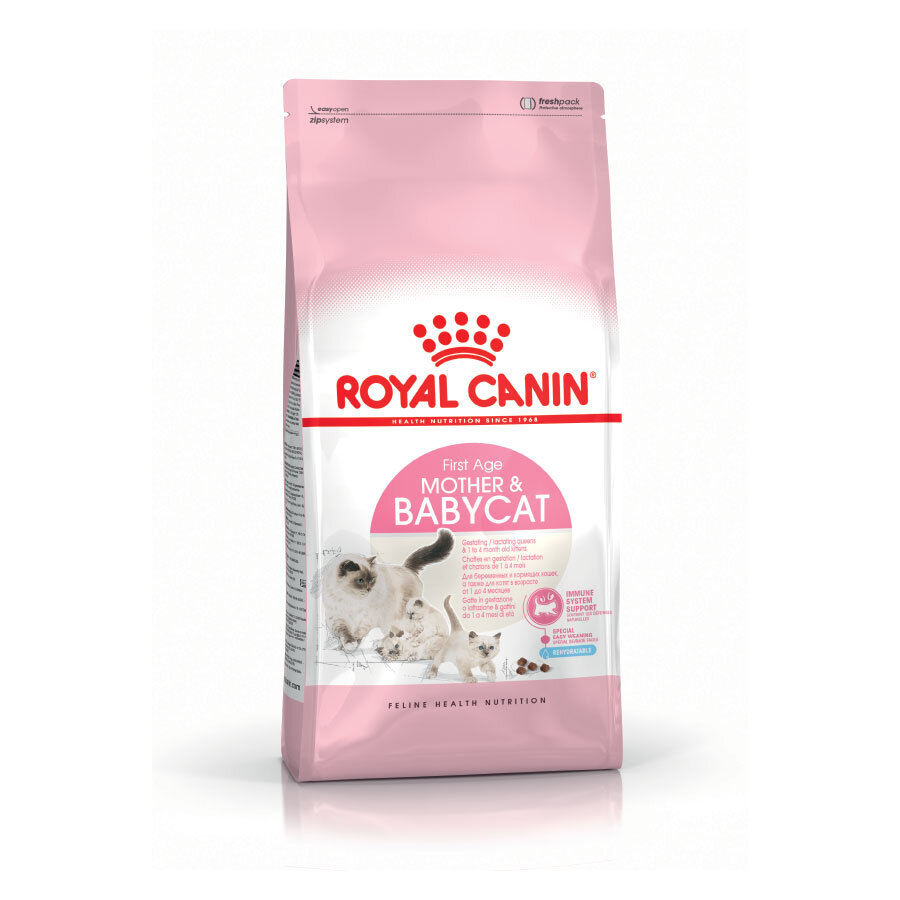 Royal Canin Mother & BabyCat Food 4kg