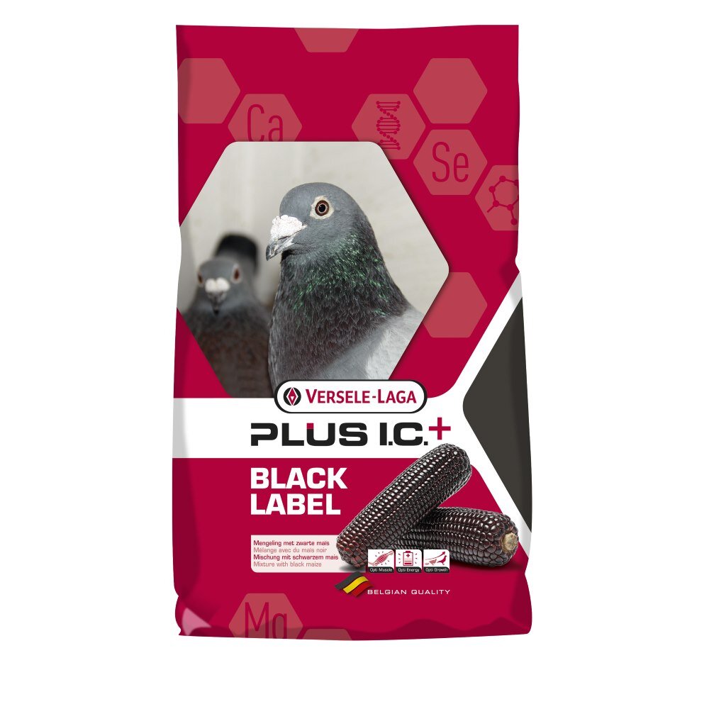 Versele Laga Champion Plus I.C.+ Black label Complete Pigeon Food  20kg